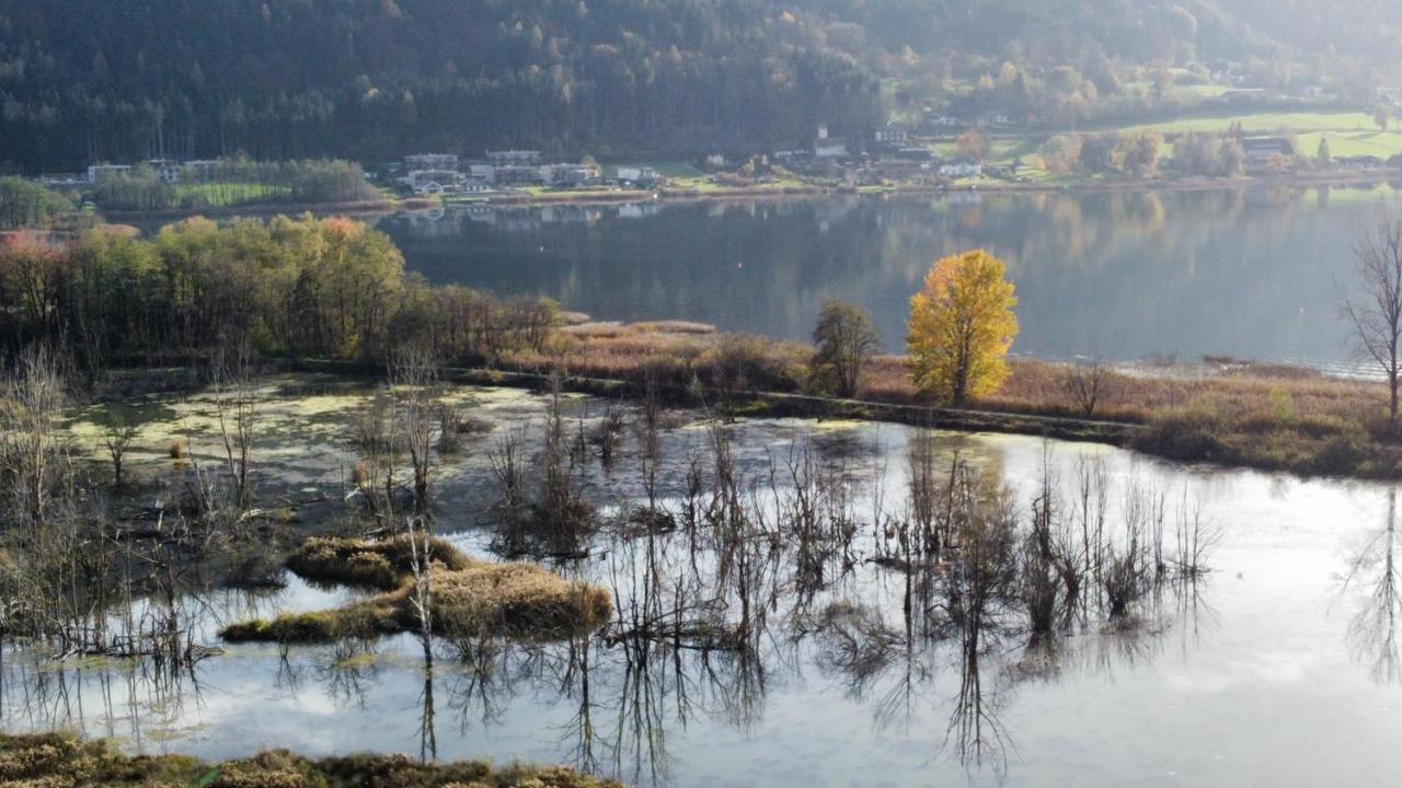 Ferienhaus Natura 2000 Штайндорф-ам-Оссіахер-Зе Екстер'єр фото